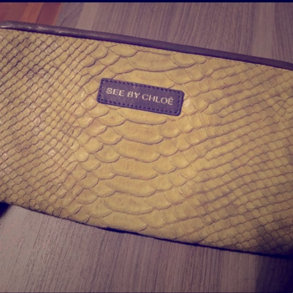 RARE See by Chloe Clutch